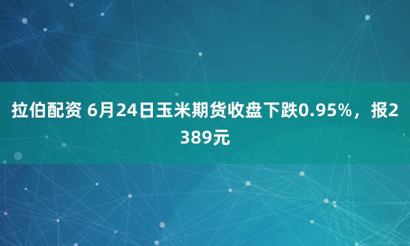 拉伯配资 6月24日玉米期货收盘下跌0.95%，报2389元