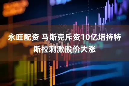 永旺配资 马斯克斥资10亿增持特斯拉刺激股价大涨