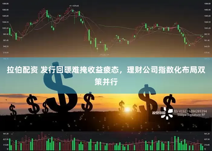 拉伯配资 发行回暖难掩收益疲态，理财公司指数化布局双策并行